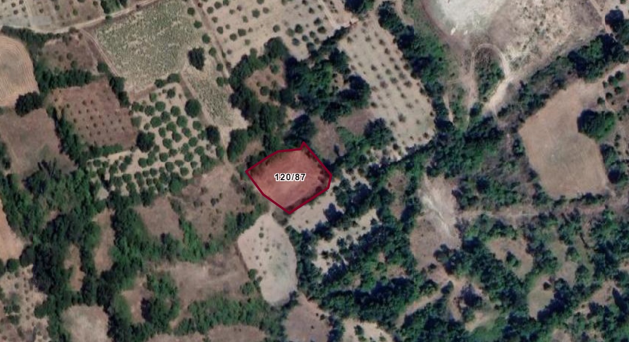 Gölpazarı Çımışkı'da Resmi Yolu Olan 1.282 M2 Satılık Bahçe — fotoğraf 1