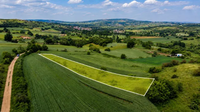 En Ucuzu Bu! Kozluca'da 2.550 M2 Mükemmel Tarla! — fotoğraf 1